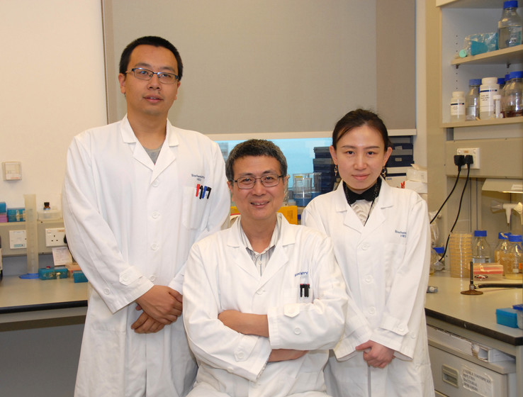 HKU Scientists Effectively Suppress Tumour Growth by Converting Salmonella into YB1 Anaerobe Bacterium gallery photo 1
