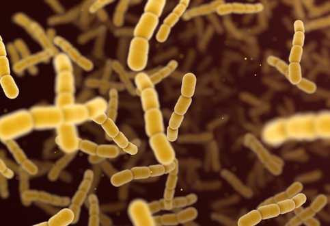 Antimicrobial Peptides for Antibiotic Resistant Germs