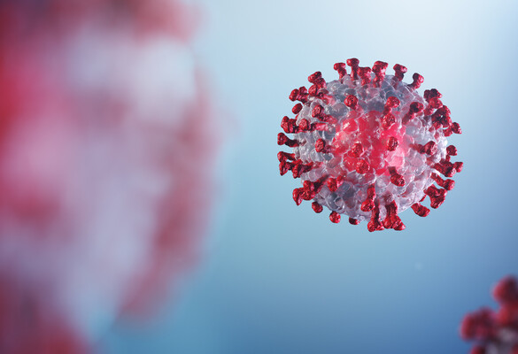 New Target for COVID-19 Diagnosis: the Nonstructural Protein 1 (nsp1) Gene